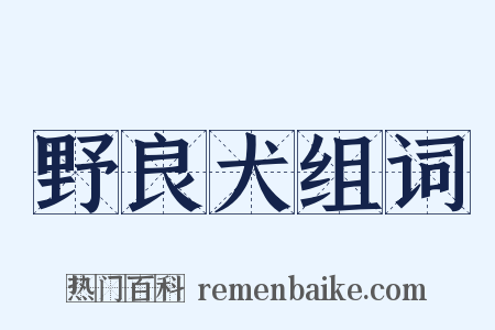 野良犬组词是什么意思的图片